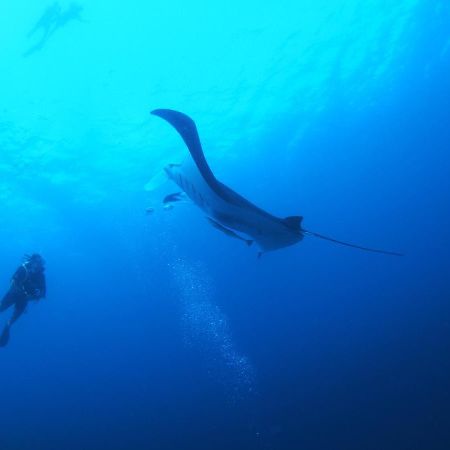 Unwind Dhigurah Hotell Dhigurah  Eksteriør bilde