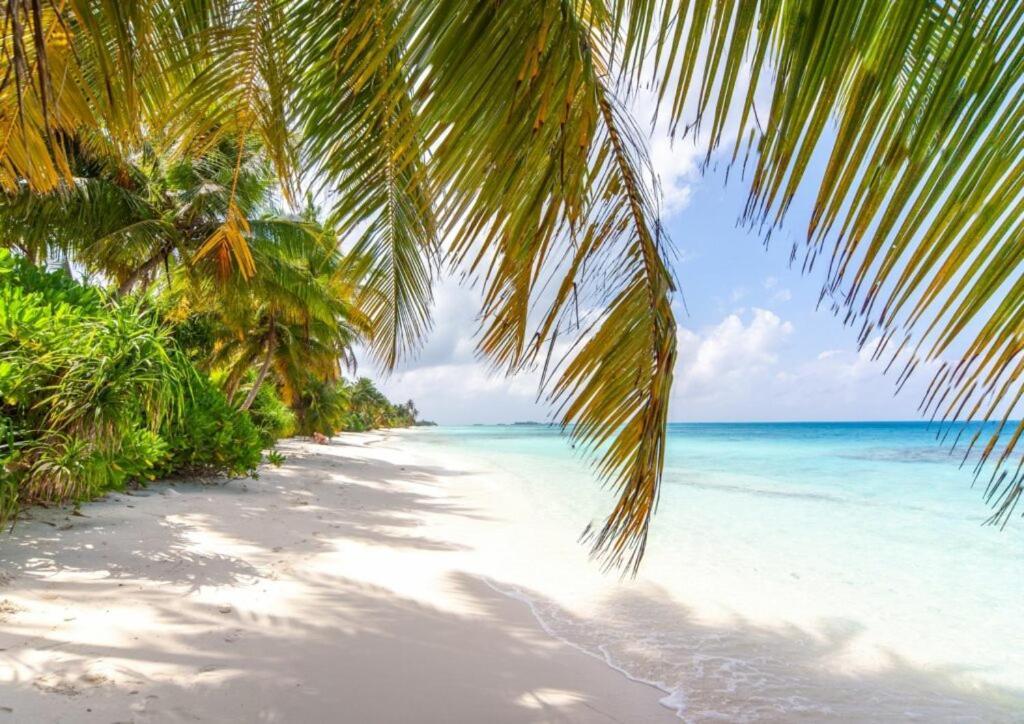Unwind Dhigurah Hotell Dhigurah  Eksteriør bilde