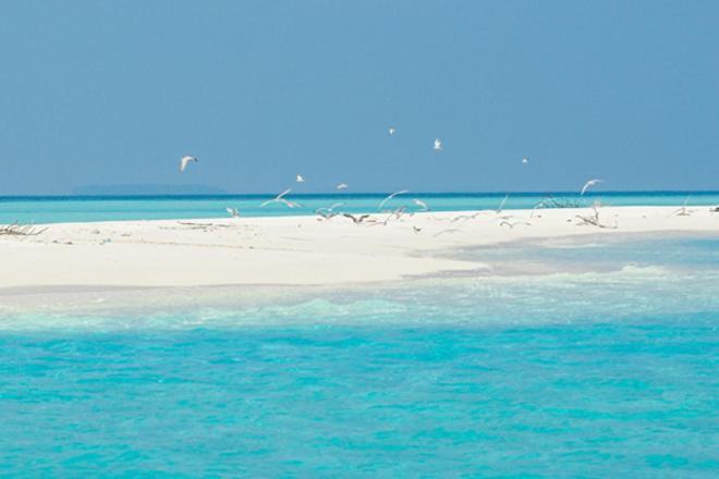 Unwind Dhigurah Hotell Dhigurah  Eksteriør bilde