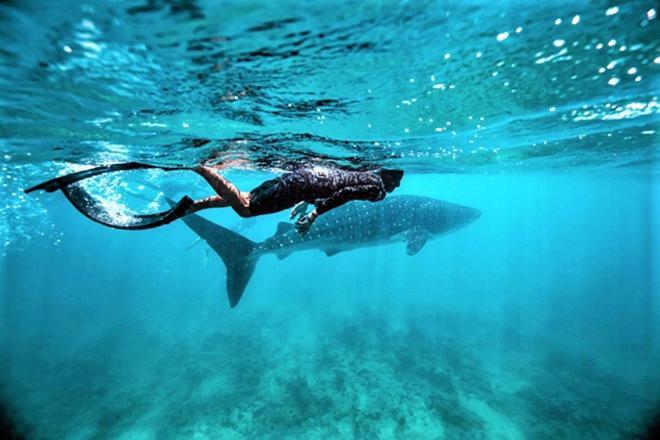 Unwind Dhigurah Hotell Dhigurah  Eksteriør bilde